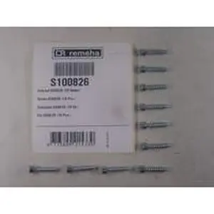 Remeha schroef K50X28 mm 10 stuks