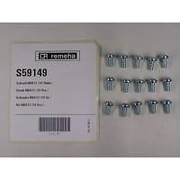 Vis Remeha M6 x 2 mm (15 pièces)
