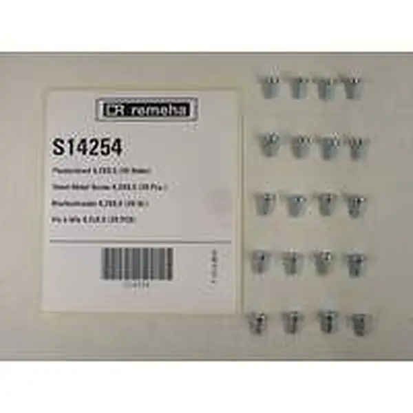 Vis à tôle Remeha 4,2 x 9,5 mm 20 pièces