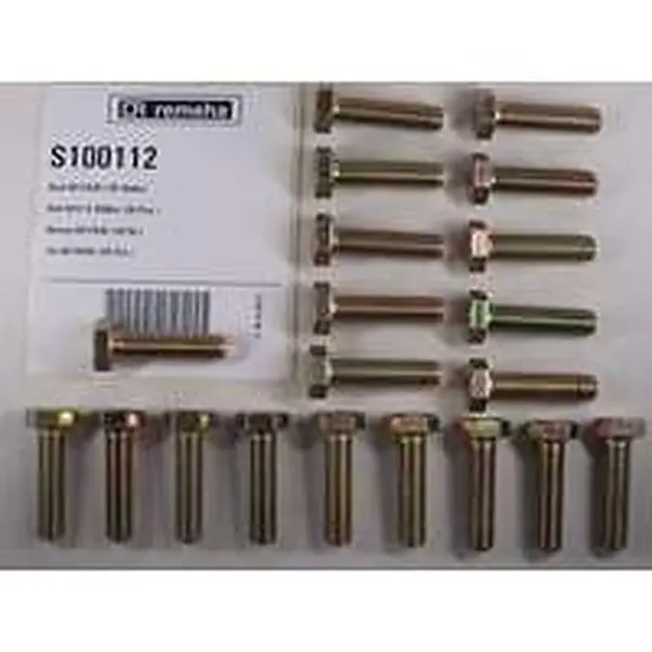Boulon Remeha M12 x 45 mm 20 pièces