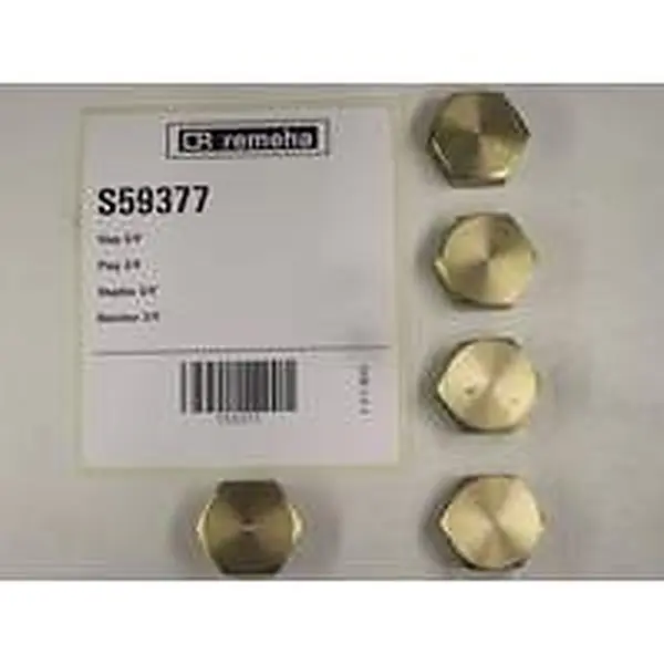 Bouchon Remeha 3/4"