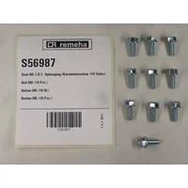 Boulon M6 Remeha pour suspension d'échangeur thermique 10 pièces (Quinta)