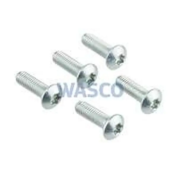 Vis Nefit M5 x 16 mm 5 pièces