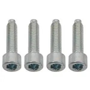 Vaillant schroef pomp (4 stuks) voor ecoTEC plus