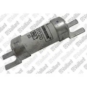 Vaillant zekering voor o.a. aroTHERM VWL 115/2 A 400V 0020175835