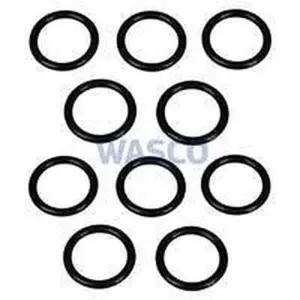Vaillant O-ring (10 stuks) voor o.a. hrSOLIDE plus VHR 24-28/3-5 R3 981165