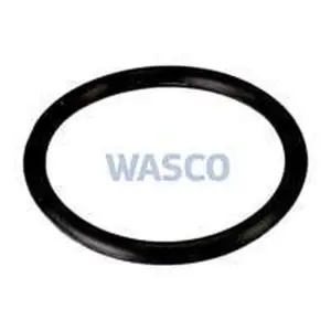 Intergas O-ring R20 x 2 mm