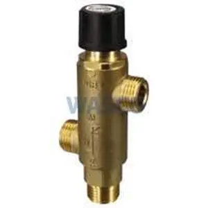 Intergas thermostatisch mengventiel