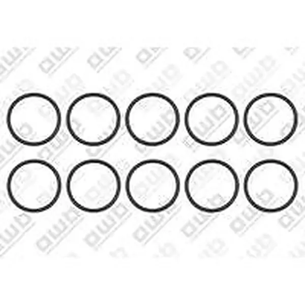 Joint torique AWB 10 pièces pour notamment ThermoElegance Advance 3-A/1 0020097226