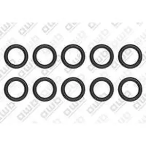 AWB O-ring 10 stuks voor o.a. ThermoElegance Advance 3-A/1 0020097187