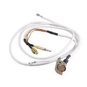 Nefit terugslag beveiliging voor o.a. WR 350-1 8738718428
