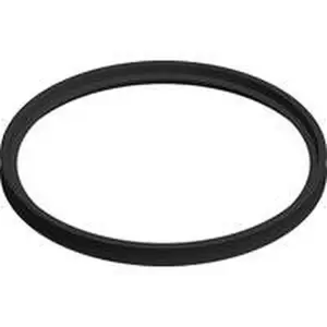 Eco Heating lippenring EPDM 100 S016.100.011