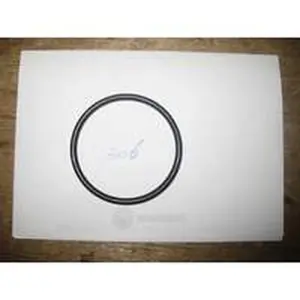 Rendamax o-ring oud nr.: ARO306