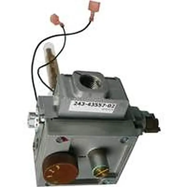 Bloc gaz Remeha pour notamment Sentry SEN BW S101983