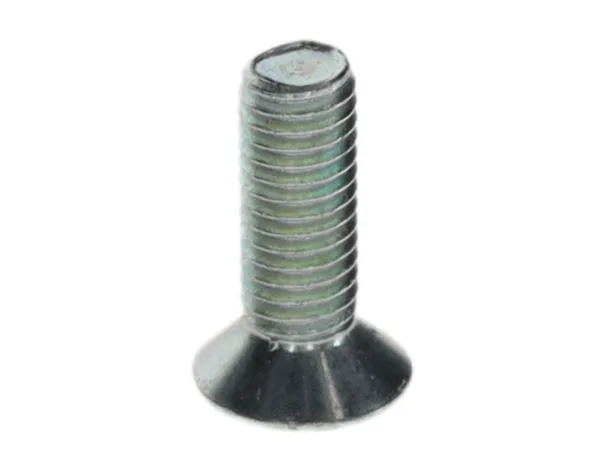 Vis Bosch M5x15 (10x)