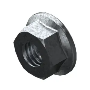 Bosch moer (10x)