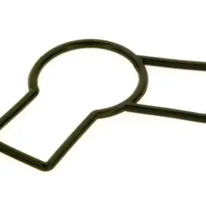 Bosch pakkingring voor o.a. ZR 24-3 ADE 87110040580