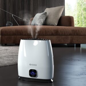 Olimpia Splendid Limpia 6 humidificateur d'air