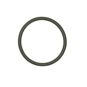 Hansgrohe Ring tbv 38720 (o.a. Afbouwdeel inbouw thermostaat) 98153000