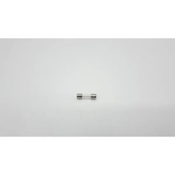 Fusible Remeha 10a 250v pour Tzerra 7673338