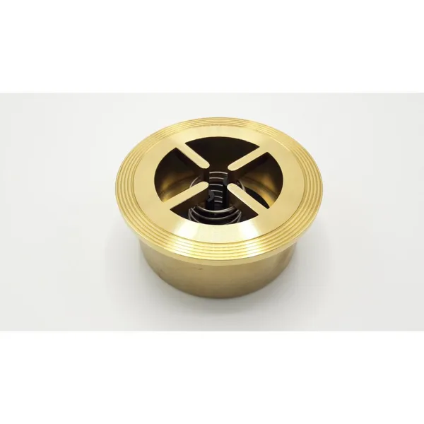 Clapet anti-retour Remeha DN50