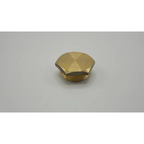 Bouchon Remeha 3/4" pour entre autres Eria Tower Ace S 300000021