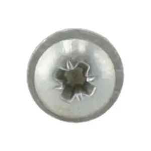 Remeha plaatschroef 3,9x13 voor o.a. Tzerra HP 40-5c 95770148