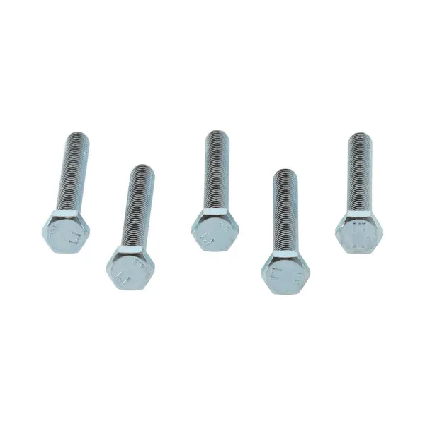 Boulon Remeha M8 x 60 mm (5 pièces)