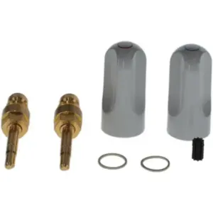 Bosch water globe valve kit