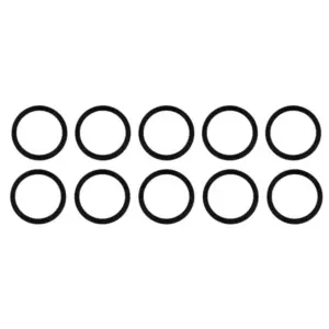 AWB O-ring 10 stuks voor o.a. ThermoGrand 45S 0020079614