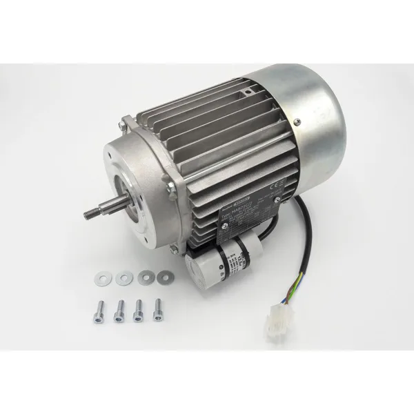 Moteur de pompe hydraulique Remeha
